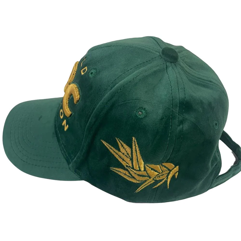 OFFICIAL WBC GREEN & GOLD CAP - Image 3
