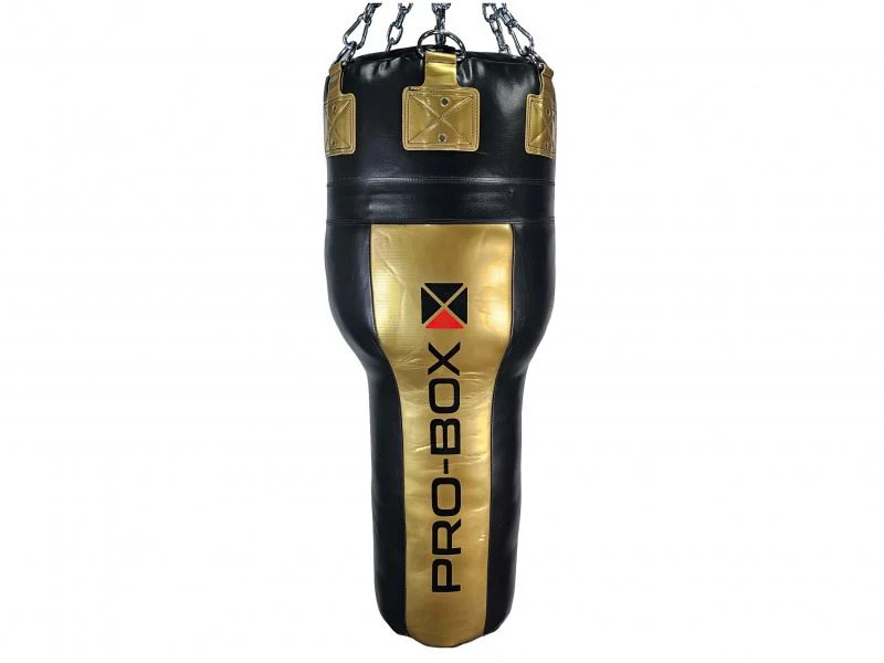 Pro Box Champ 4ft Angle Punch Bag II