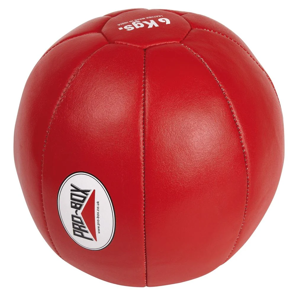 Pro Box Leather Medicine Balls - Image 3